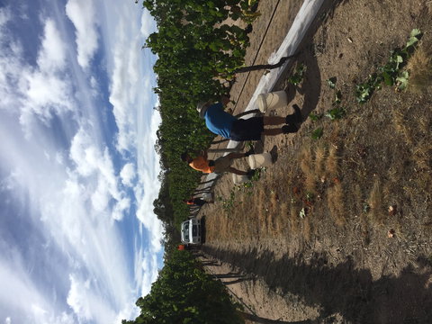 Tobin Wines - Accommodation Cairns 1