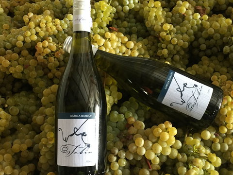 Tobin Wines - Accommodation Cairns 2