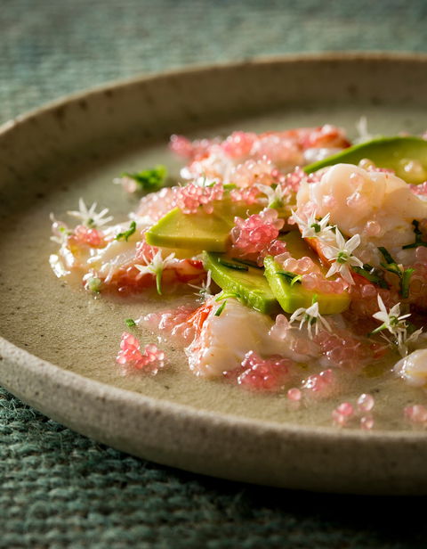 Foragers - Accommodation Cairns 0