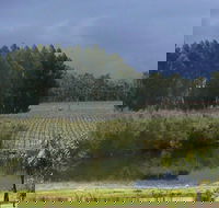 The Alchemist - Accommodation Cairns