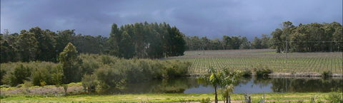 The Alchemist - Accommodation Cairns 0