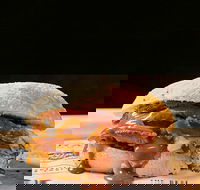 Sandwich Chefs - Accommodation Cairns