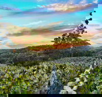 Between the Vines Cellar Door - Accommodation Cairns