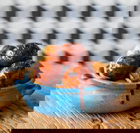 The Yiros Shop - Newmarket - Accommodation Cairns