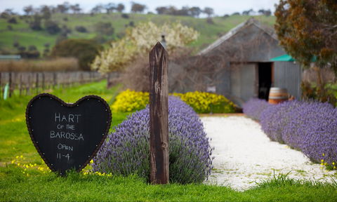 Hart Of The Barossa - Accommodation Cairns 0