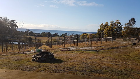 Overtime Vineyard - Accommodation Cairns 0