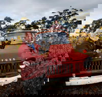 The Shiraz Republic - Accommodation Cairns