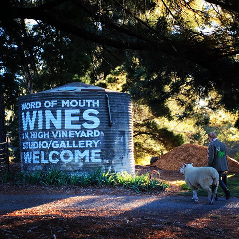 Word Of Mouth Wines - Accommodation Cairns 1