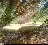 Lentara Grove - Accommodation Cairns