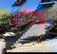 Alpine Gate Cafe - Accommodation Cairns