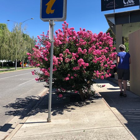 Alpine Gate Cafe - Accommodation Cairns 0