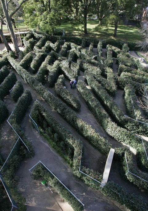 Bluebush Cafe - Accommodation Cairns 11