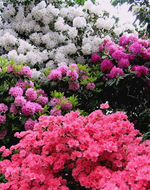 Bluebush Cafe - Accommodation Cairns 12