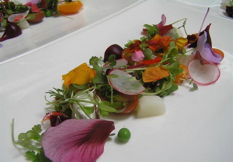 Bluebush Cafe - Accommodation Cairns 13