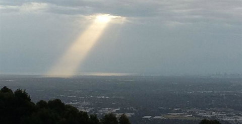 Bluebush Cafe - Accommodation Cairns 26