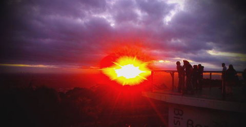 Bluebush Cafe - Accommodation Cairns 28