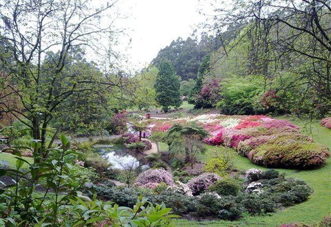 Bluebush Cafe - Accommodation Cairns 7