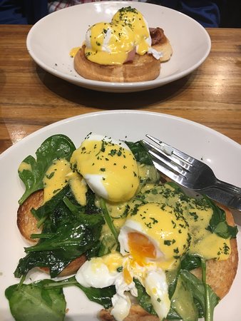 Gordon's Cafe & Bar - Accommodation Cairns 0