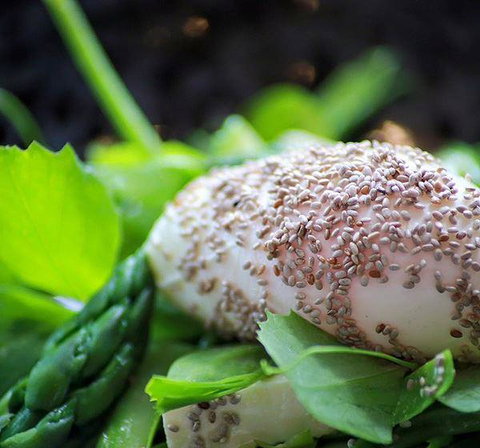 GPO Hotel - Accommodation Cairns 5