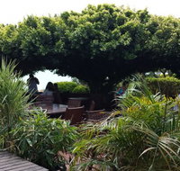 Wharf Restaurant - Accommodation Cairns