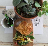 Cafe Silo - Accommodation Cairns