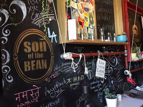 Son Of The Bean - Accommodation Cairns 0
