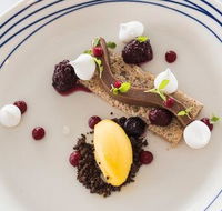 Wild Herring - Accommodation Cairns