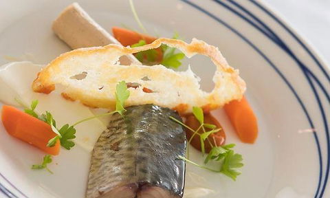 Wild Herring - Accommodation Cairns 2