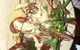 Ochre Restaurant & Catering - thumb 10