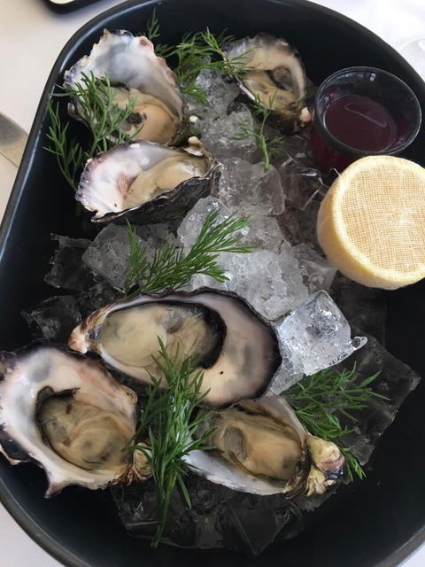 Shuck On Tedder - Accommodation Cairns 2