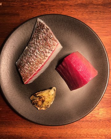 Yellowtail - Accommodation Cairns 0