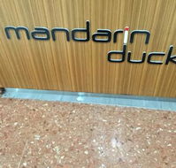 Mandarin Duck - Accommodation Cairns