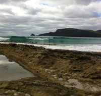 Bruny Island Berry Farm