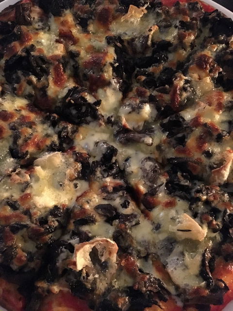 Fat Quoll Woodfire - Accommodation Cairns 8
