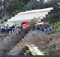 The Bay Fish - Accommodation Cairns