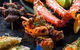 Riverside Teppanyaki - thumb 13