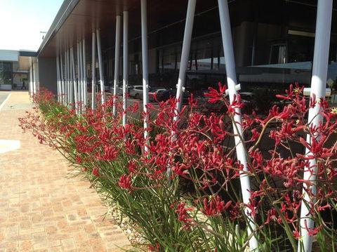BiteZ - Accommodation Cairns 0