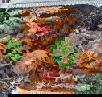 Cairo Cafe - Accommodation Cairns