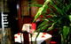 China City Garden Restaurant - thumb 1