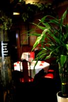 China City Garden Restaurant - Accommodation Cairns 2