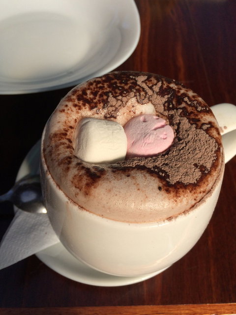 Cafe Cinco Gallos - Accommodation Cairns 3