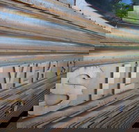 Silver Star Cafe - Accommodation Cairns