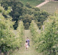 Greenhill Wines - Accommodation Cairns