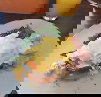 Stock Bar  Grill - Accommodation Cairns