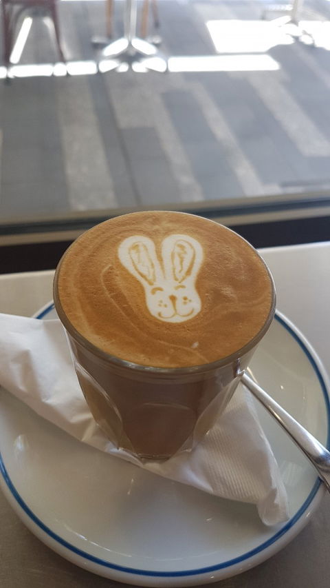 Coffee Dominion - Accommodation Cairns 4