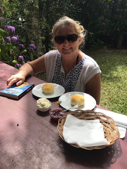 Ivy Cottage - Accommodation Cairns 2