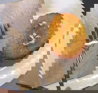 New Leaf Cafe Murwillumbah - Accommodation Cairns