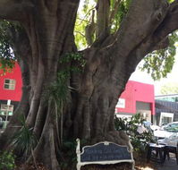 PUK Espresso - Accommodation Cairns