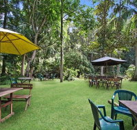 Rainforest - Accommodation Cairns