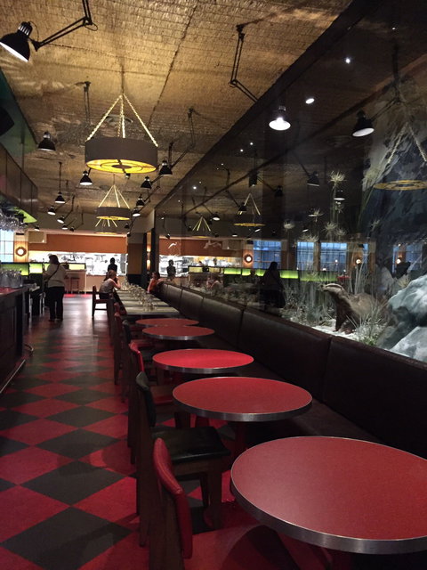 Natural History Bar And Grill - Accommodation Cairns 1